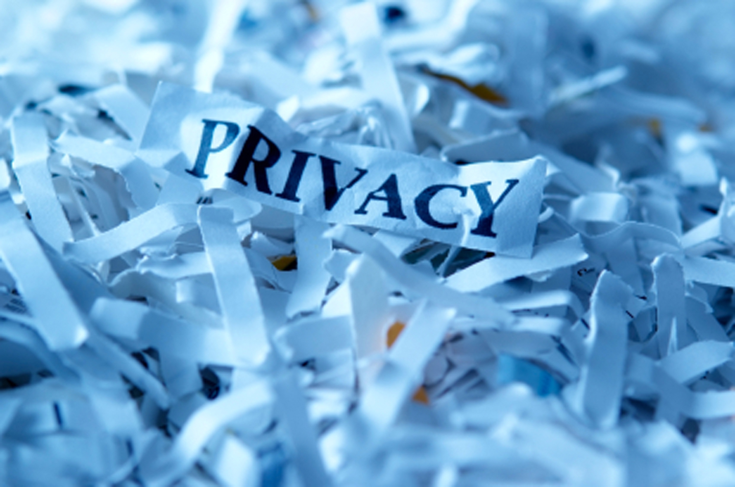 iStock_000013417788XSmall
